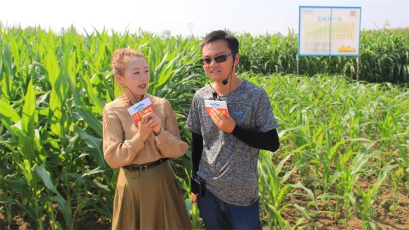 1634202259754023.jpg 88.jpg