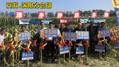 1634202854278995.gif 107.gif