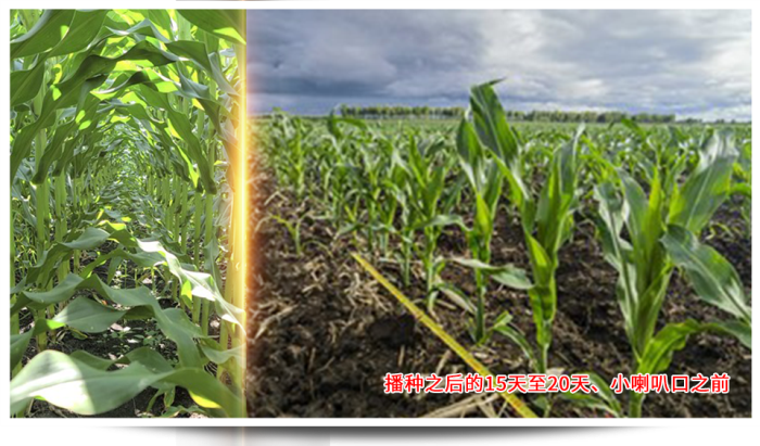 1747638475235793.png 圖片37.png